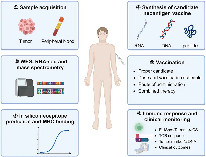 Cancer de l'ovaire : un vaccin personnalisé testé avec le nivolumab
