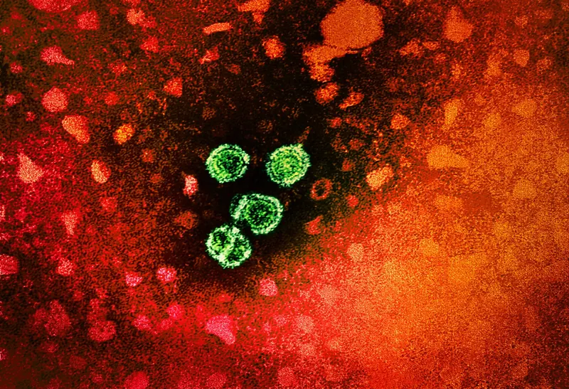 Hibsago (bepirovirsen) : la FDA approuve un traitement de l'hépatite B